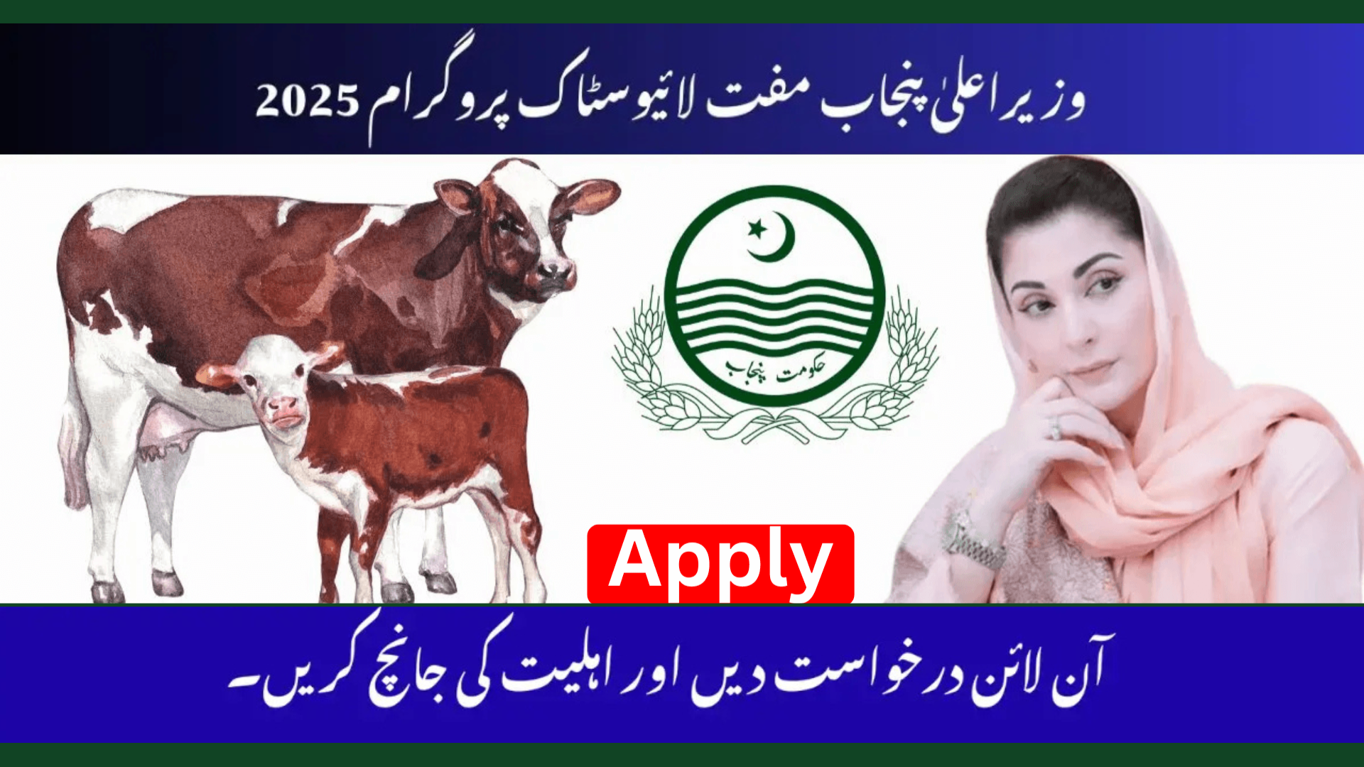 Eligibility and Application Process for Maryam Nawaz Livestock Card 2025