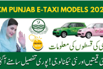 CM Punjab E-Taxi Models 2025 – Full Price & Specs Breakdown