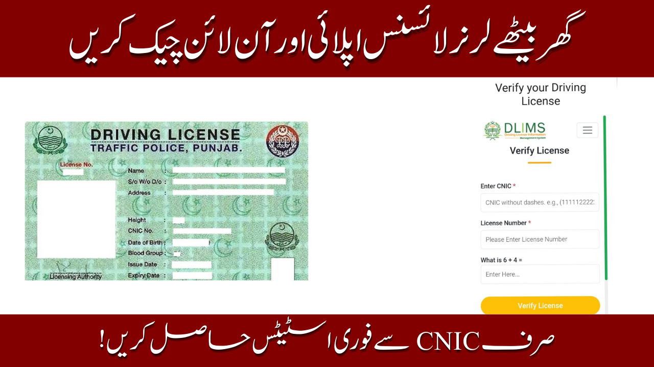 Learner License Online Check in Pakistan – How to Apply & Verify